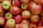 21 marca - dystrybucja jabłek dla mieszkańców Cieszyna